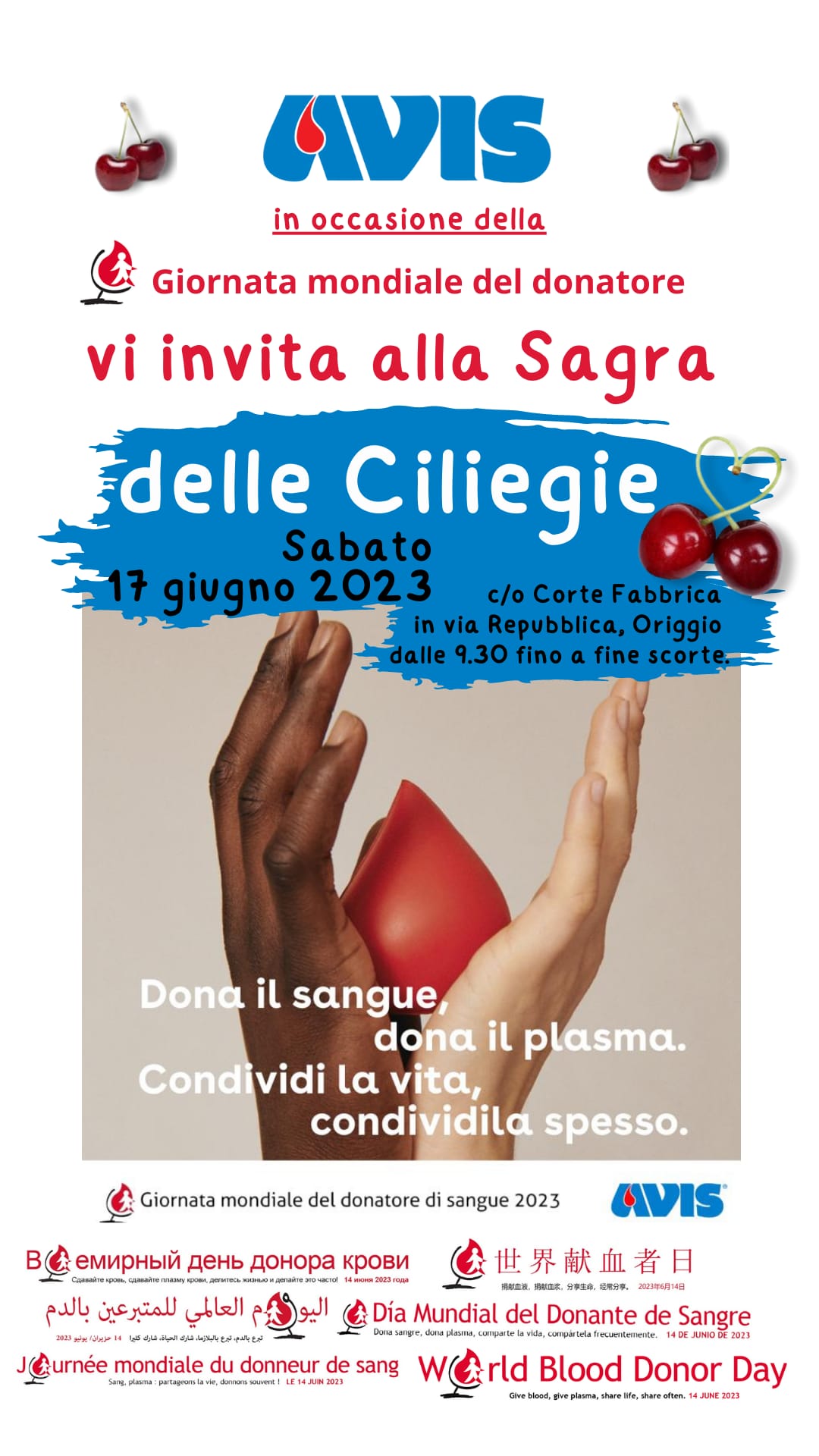 Avis- Sagra delle ciliegie