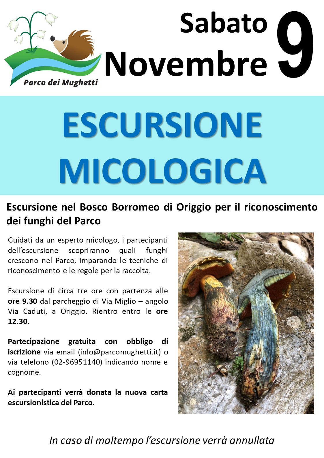 Plis dei Mughetti : Escursione Micologica nel Bosco Borromeo